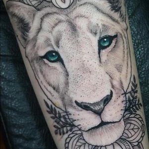 Meet your Posher, Pris